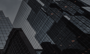 Spotlight — Equinox Collection by Shane Griffin